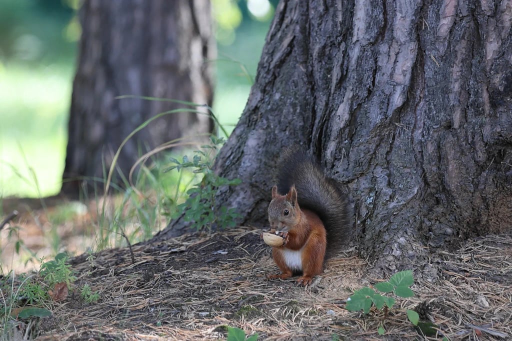Эргопарк в Клинике Института Мозга